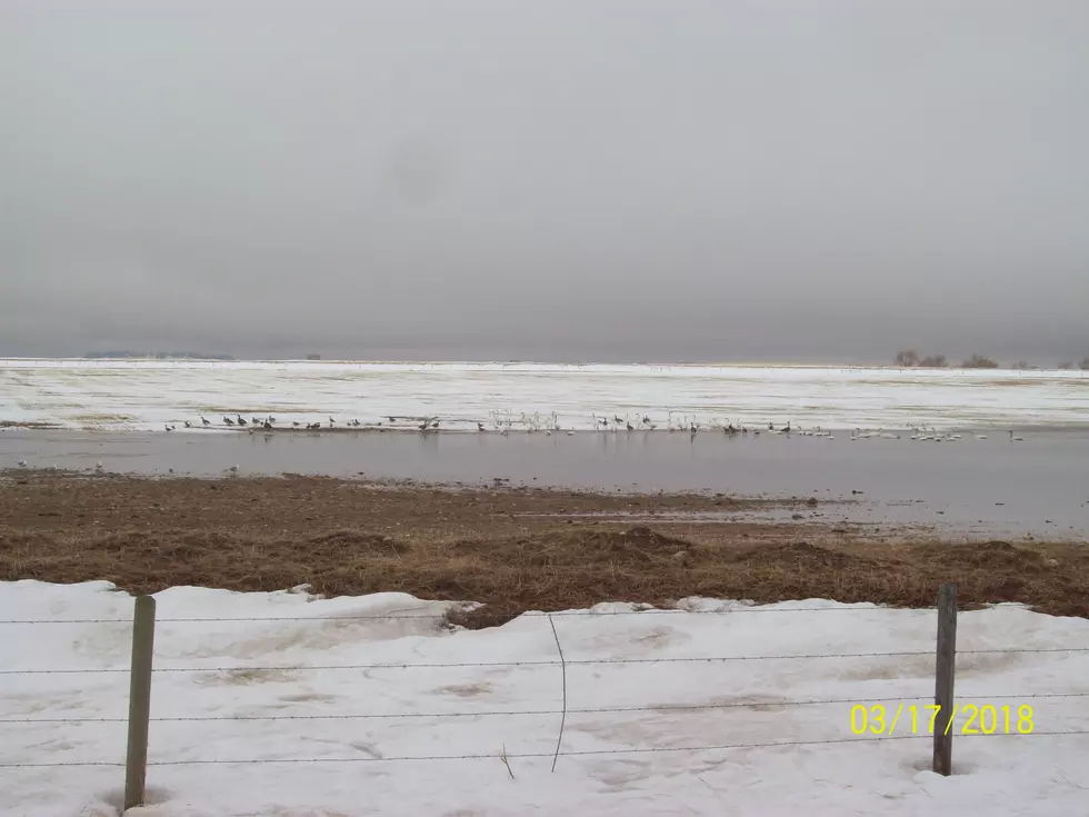 Montana’s US Senators and Representatives are ready to protect MT Ag