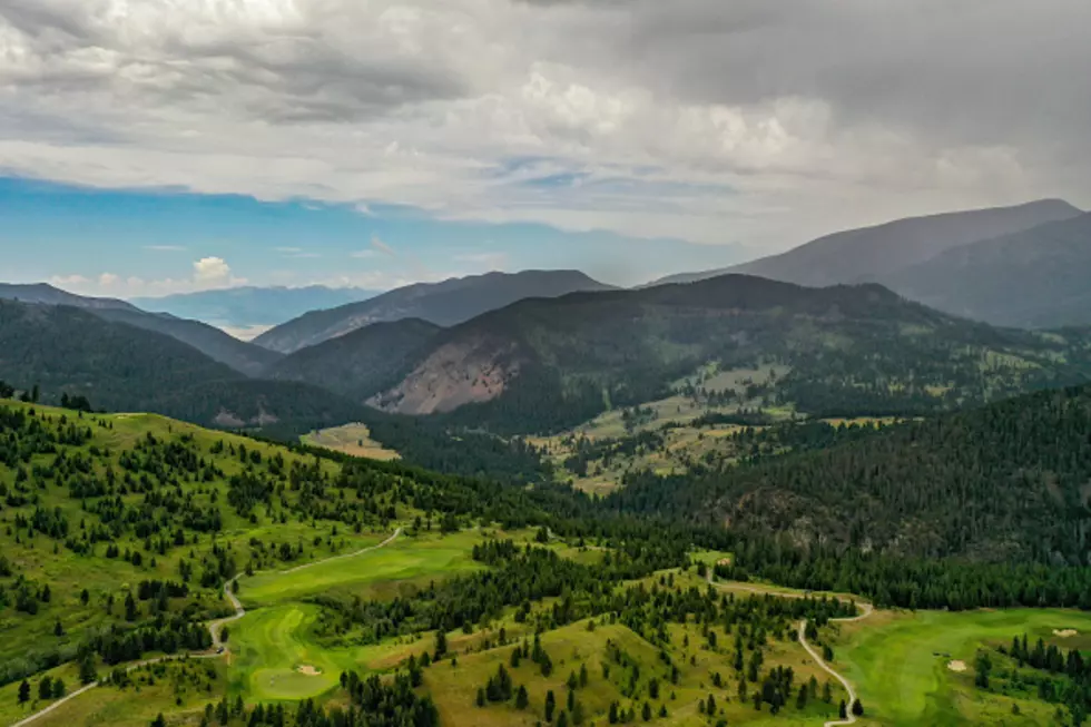 Montana has lots of Ursus Arctos Horribilis. But there’s one state that has more.