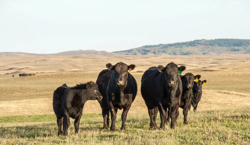 Montana Farmers Union says it is time enact C.O.O.L. placards into law