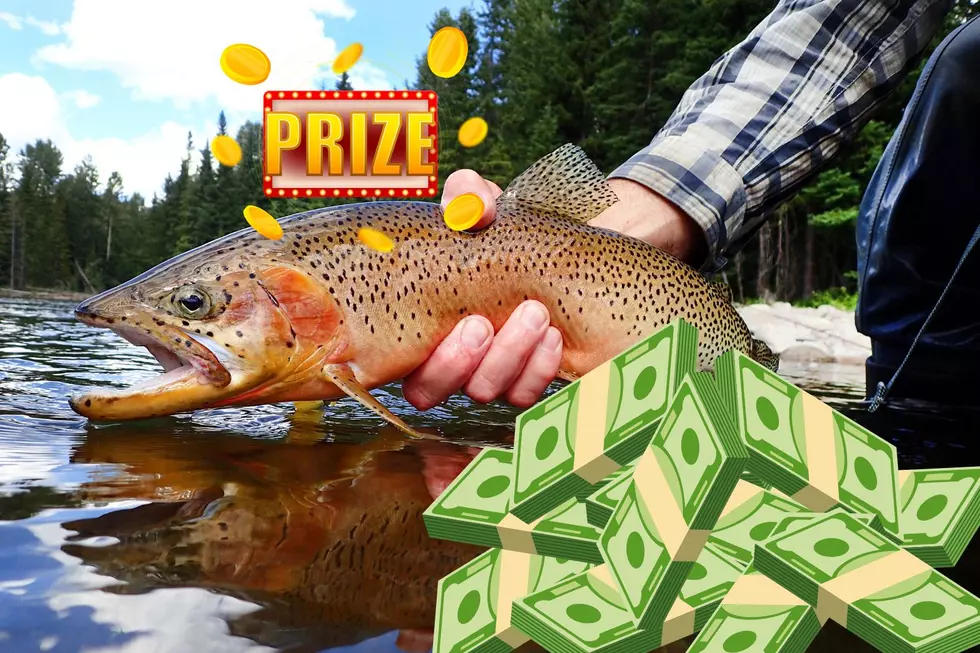 How To Win Money & Prizes For Catching Fish In Montana