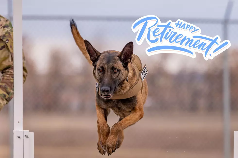 A Decade of Service: Malmstrom Military Working Dog FFarah Retires