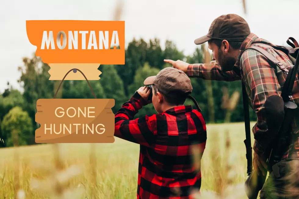 What You Need To Know About The Youth Deer Hunt In Montana