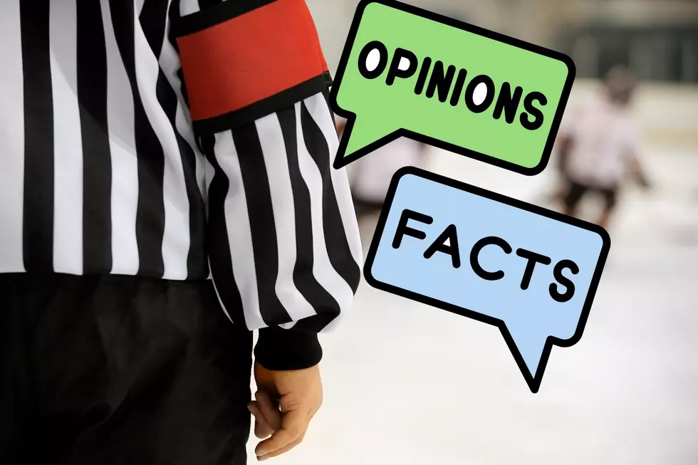 Strong Opinion On Recent Hockey Official Attack In WA