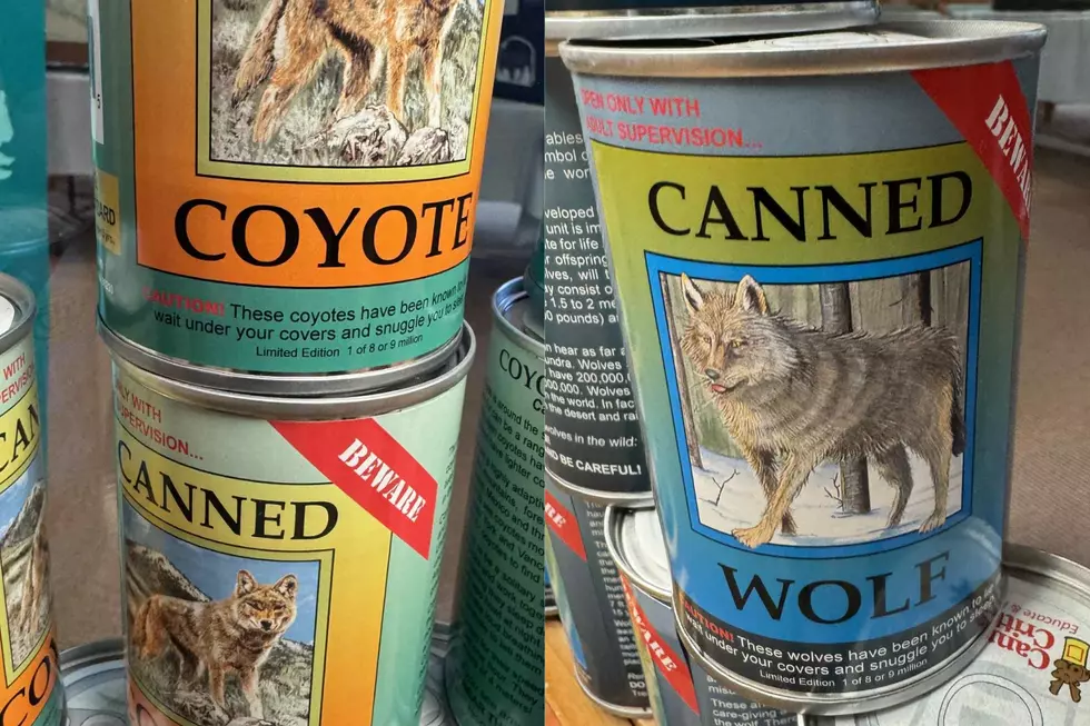 Did You Know You Can Buy “Canned Coyote” In Montana?